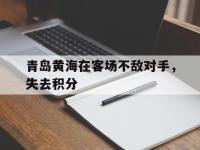 爱游戏平台官网下载-青岛黄海在客场不敌对手，失去积分