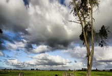 爱游戏平台官网下载-哈登连续三场比赛得分超过重要助攻，DWG不断突破！的简单介绍