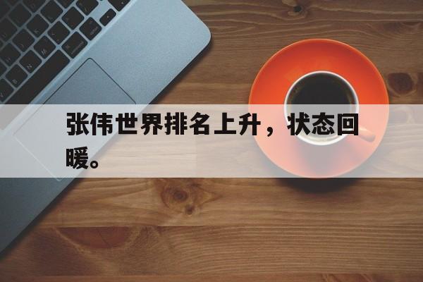 张伟世界排名上升，状态回暖。